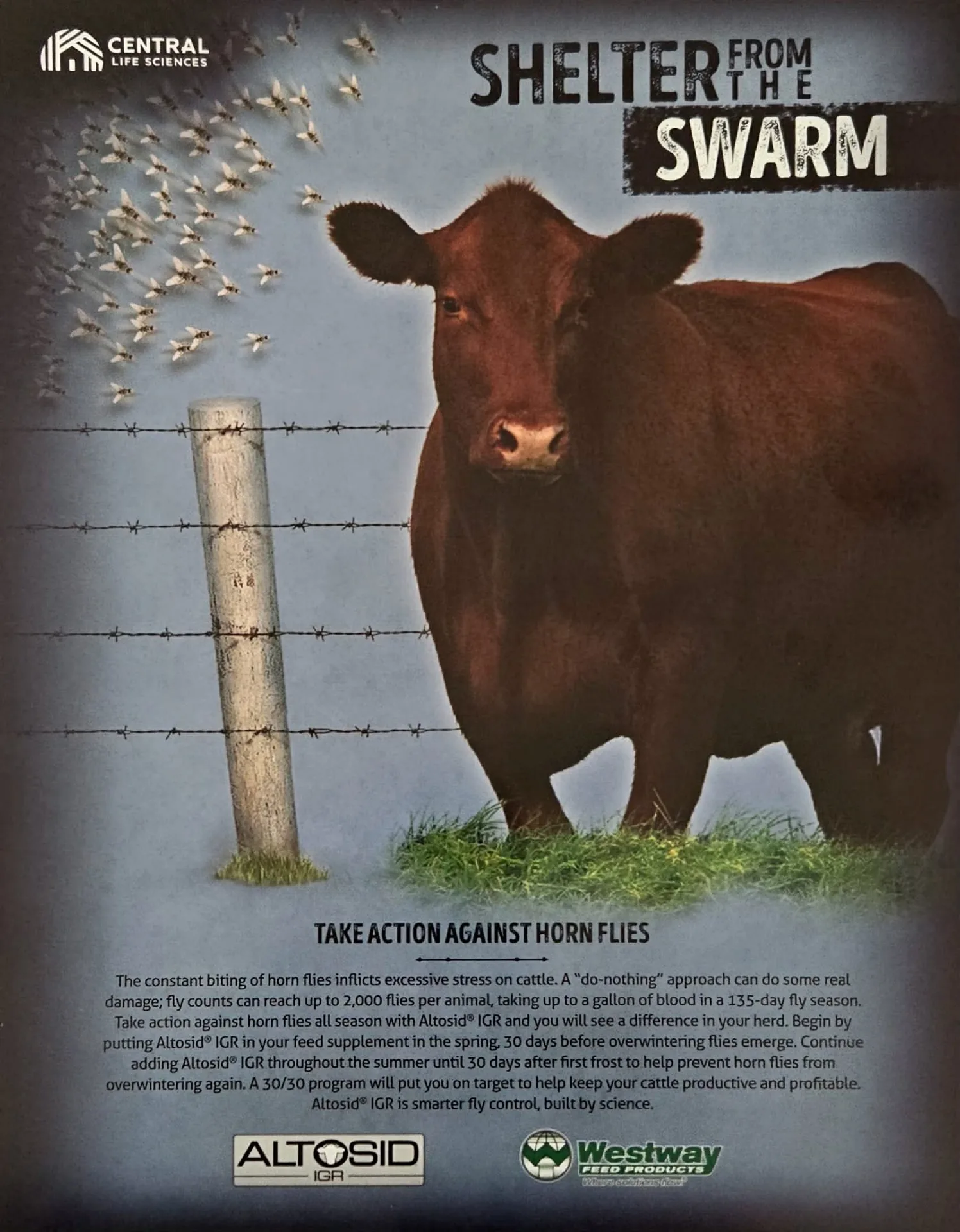 Altosid® IGR — Horn Fly Control · Add-In