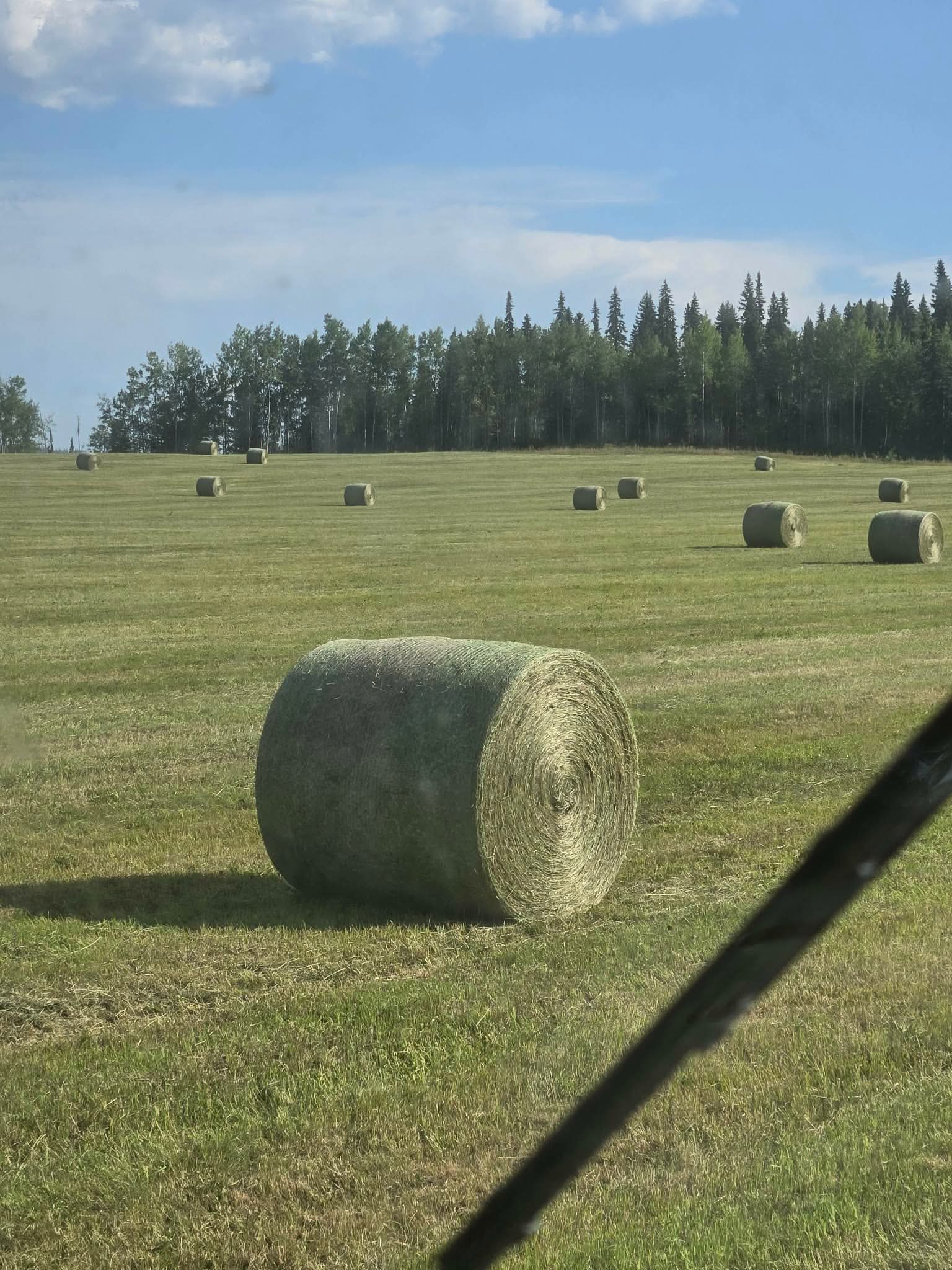 Round Bale Hay — Local Northern BC Forage