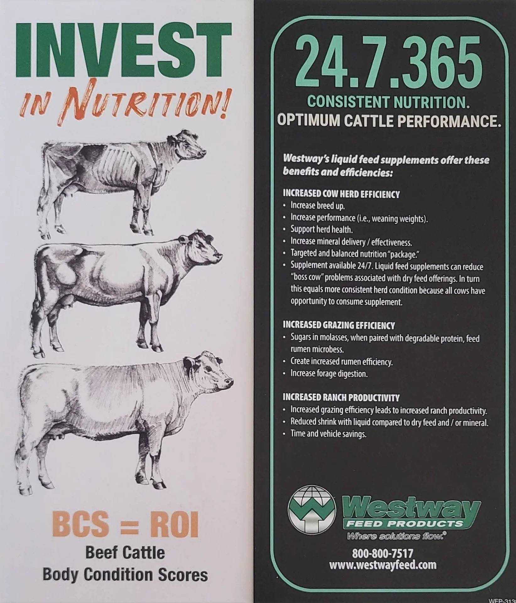 Westway BCS body condition score chart — Invest in Nutrition